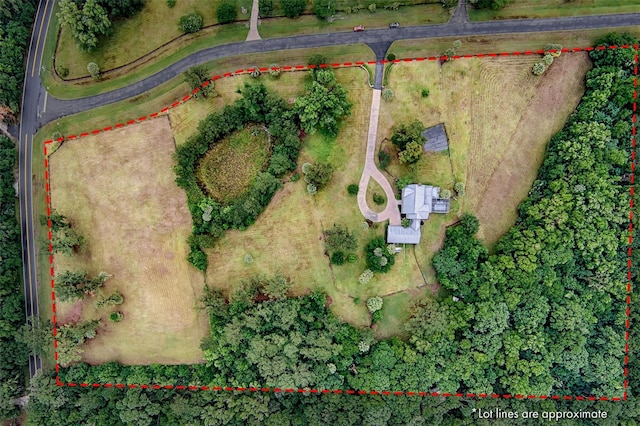 20250 NW 71st Ct, Micanopy, FL 32667 - aerial view of property's location with property boundaries highlighted