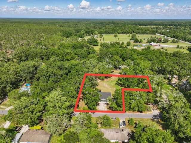 1180 Hough St, Bell, FL 32619 - aerial view of property and surrounding area featuring a heavily wooded area and property parcel outlined