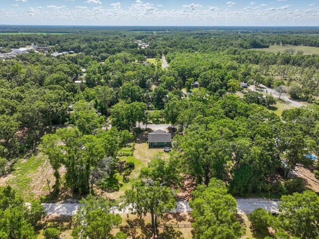 1180 Hough St, Bell, FL 32619 - bird's eye view of a forest