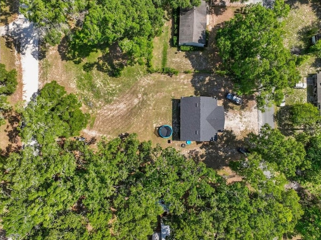 1180 Hough St, Bell, FL 32619 - aerial view of property and surrounding area