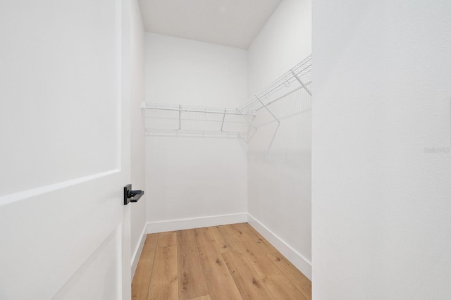 3645 Frederick Ave, Bell, FL 32619 - walk in closet with light wood finished floors