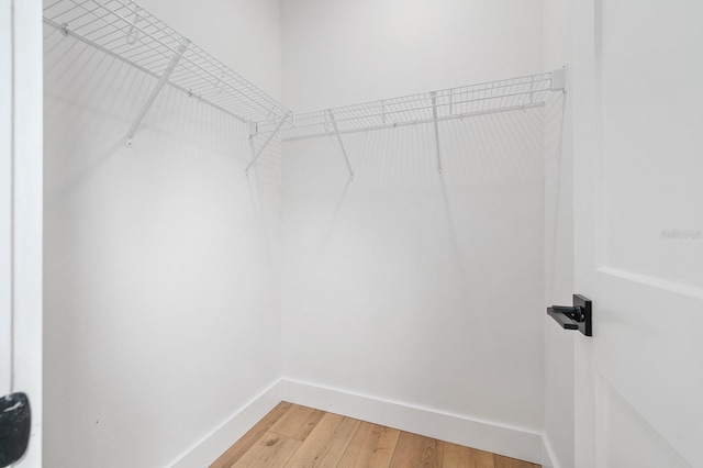 3645 Frederick Ave, Bell, FL 32619 - spacious closet with light wood-style floors