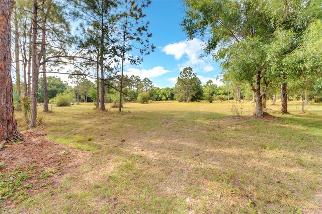1000 Rabbit Run Rd, Naples, FL 34120 - photo 29