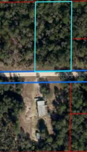 TBD NE 87th Pl, Bronson, FL 32621 - photo 1