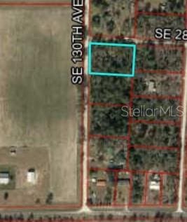 TBD SE 130th Ave, Bronson, FL 32621