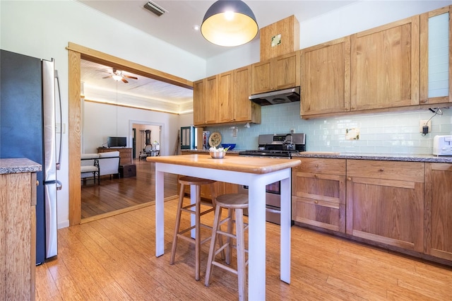 502 NE Cholokka Blvd, Micanopy, FL 32667 - kitchen featuring stainless steel appliances, light wood-style floors, tasteful backsplash, under cabinet range hood, and a ceiling fan