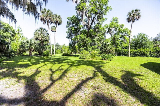 502 NE Cholokka Blvd, Micanopy, FL 32667 - view of green lawn