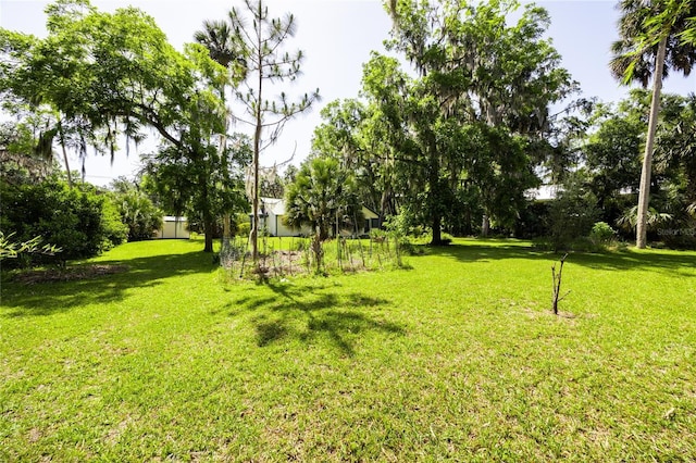502 NE Cholokka Blvd, Micanopy, FL 32667 - view of grassy yard