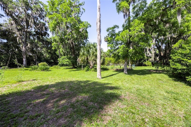 502 NE Cholokka Blvd, Micanopy, FL 32667 - view of green lawn