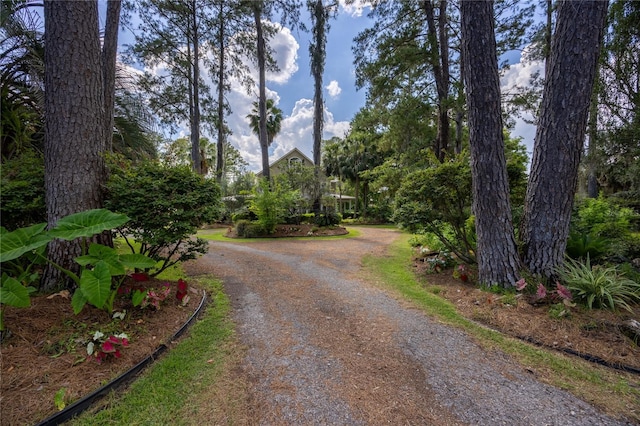 4820 NW 59th St, Gainesville, FL 32653 - photo 29