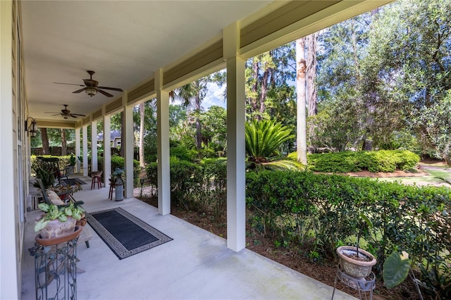4820 NW 59th St, Gainesville, FL 32653 - photo 57