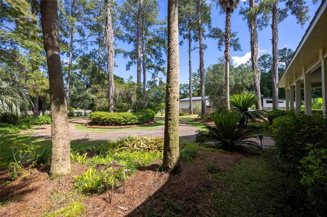 4820 NW 59th St, Gainesville, FL 32653 - photo 58