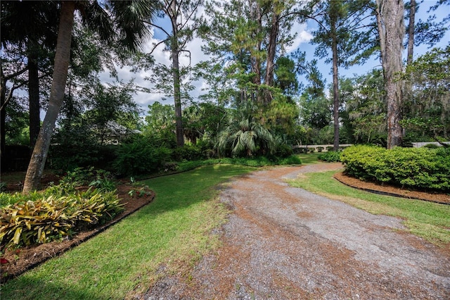 4820 NW 59th St, Gainesville, FL 32653 - photo 79