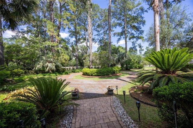 4820 NW 59th St, Gainesville, FL 32653 - photo 84