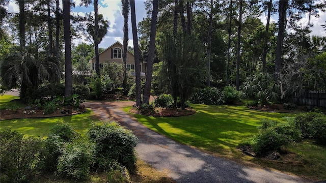 4820 NW 59th St, Gainesville, FL 32653 - photo 88