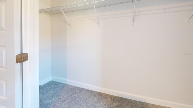 3279 E Iris Ln, Bell, FL 32619 - spacious closet with carpet flooring