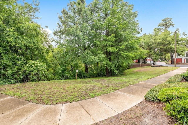 2360 SW Archer Rd Unit 1102, Gainesville, FL 32608 - view of green lawn