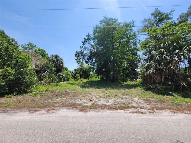 355 SE 241st St, Suwannee, FL 32692 - photo 5