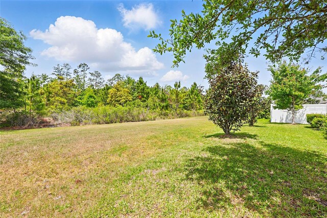 1124 Persimmon Dr, Middleburg, FL 32068 - photo 30