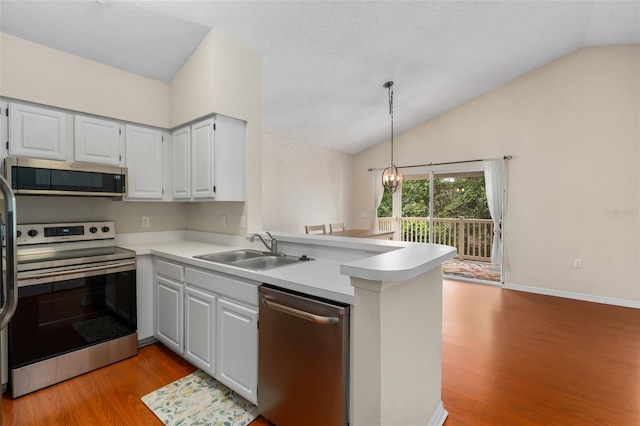 10000 SW 52nd Ave Unit J50, Gainesville, FL 32608 - kitchen featuring stainless steel appliances, a sink, vaulted ceiling, light wood-style flooring, and a chandelier