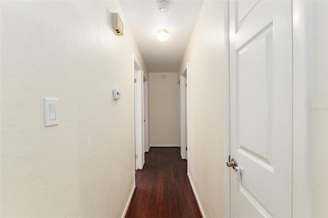 5610 NW 29th Ter, Gainesville, FL 32653 - corridor featuring dark wood-type flooring and baseboards