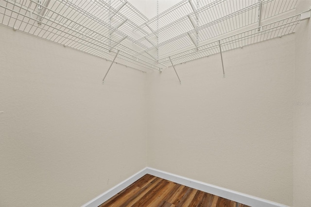 9119 SW 52nd Ave Unit C301, Gainesville, FL 32608 - spacious closet featuring dark wood-type flooring