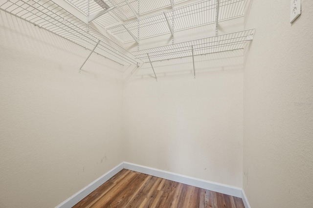 9119 SW 52nd Ave Unit C301, Gainesville, FL 32608 - spacious closet with wood finished floors