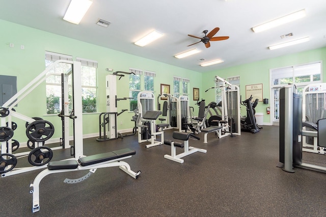 9119 SW 52nd Ave Unit C301, Gainesville, FL 32608 - gym with ceiling fan and baseboards