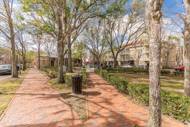 9119 SW 52nd Ave Unit C301, Gainesville, FL 32608 - view of surrounding community