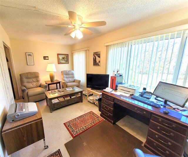 2311 Brisbane St Unit 29, Clearwater, FL 33763 - photo 6
