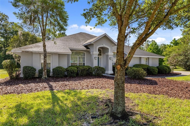 6915 NW 49th St, Gainesville, FL 32653 - photo 1