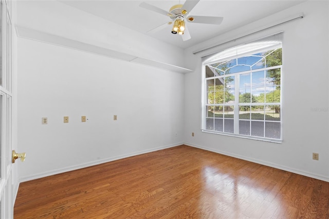 6915 NW 49th St, Gainesville, FL 32653 - photo 13