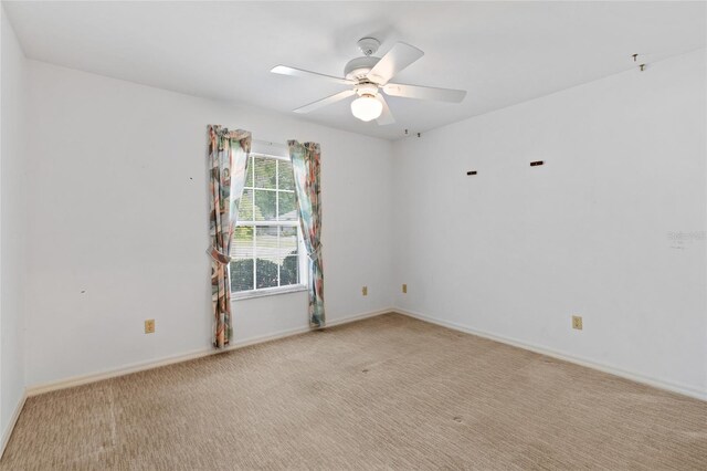 6915 NW 49th St, Gainesville, FL 32653 - photo 15
