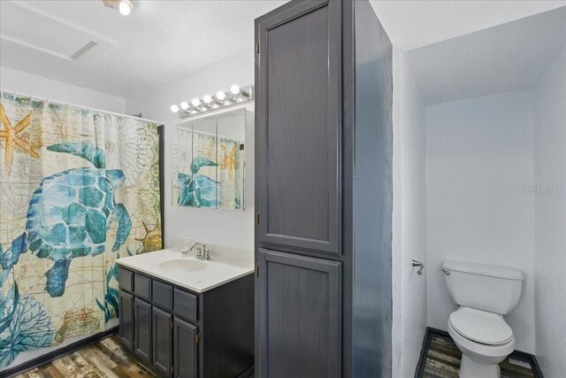 203 1st Ave SE, Steinhatchee, FL 32359 - bathroom with toilet, wood finished floors, vanity, and curtained shower