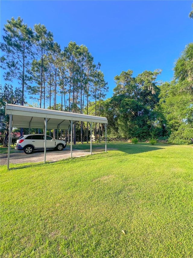 609 NE 2nd St, Williston, FL 32696 - view of grassy yard featuring a detached carport