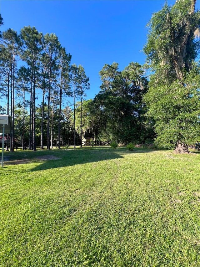 609 NE 2nd St, Williston, FL 32696 - view of green lawn