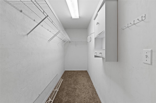 spacious closet featuring carpet flooring