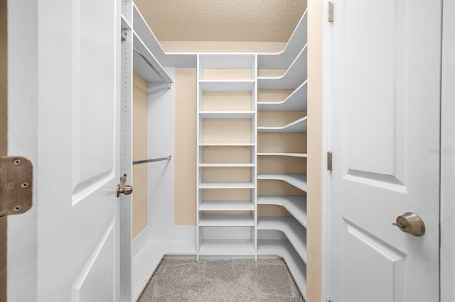 19152 NW 228th Way, High Springs, FL 32643 - spacious closet with carpet flooring