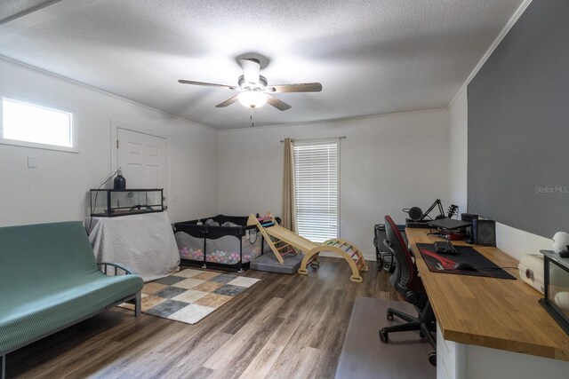 14215 NW 142nd Pl, Alachua, FL 32615 - photo 11