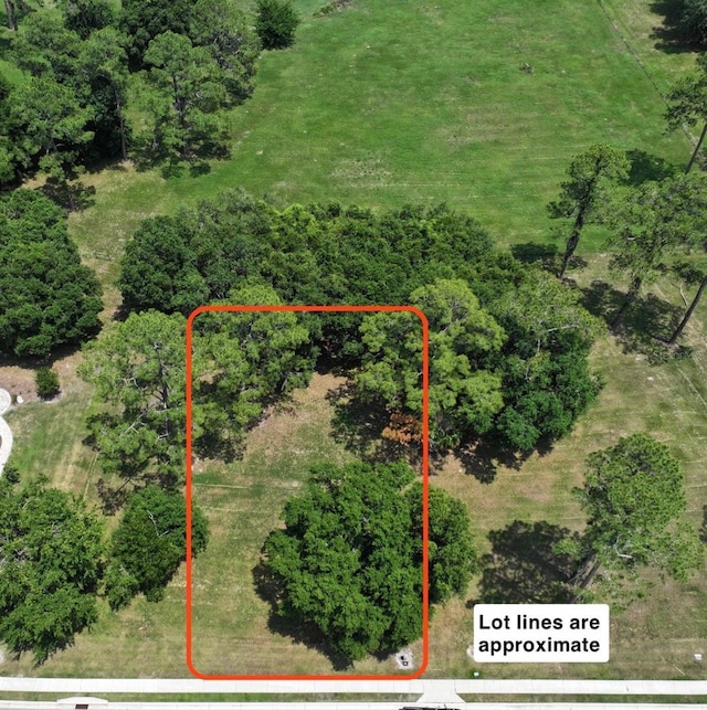 6703 SW 40th Ter, Gainesville, FL 32608
