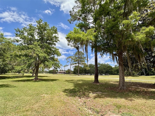 6480 NW 109th Pl, Alachua, FL 32615 - photo 24