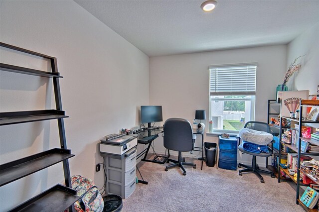 12504 NW 7th Pl, Newberry, FL 32669 - photo 20