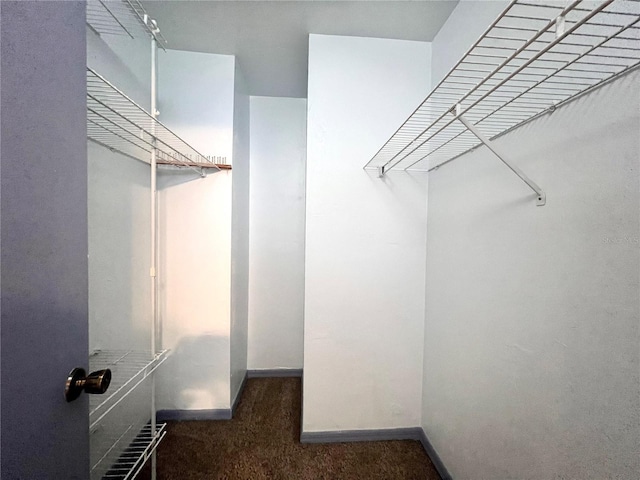 5830 SW 9th Pl, Gainesville, FL 32607 - spacious closet featuring carpet