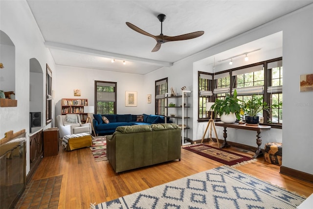 535 NE 9th Ave, Gainesville, FL 32601 - living room featuring ceiling fan, wood finished floors, arched walkways, baseboards, and rail lighting