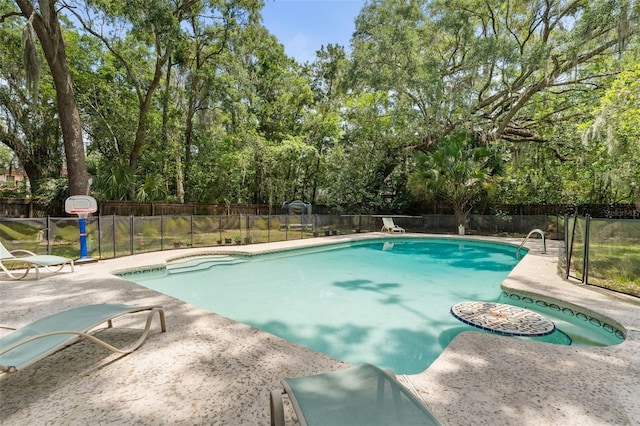 535 NE 9th Ave, Gainesville, FL 32601 - view of pool with a patio area and view of wooded area