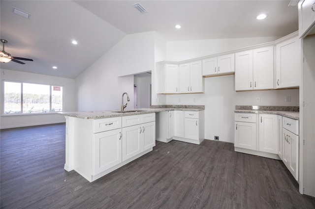 kitchen featuring a sink, lofted ceiling, dark wood-type flooring, light stone countertops, and white cabinets