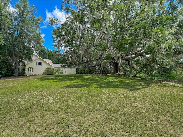 view of green lawn