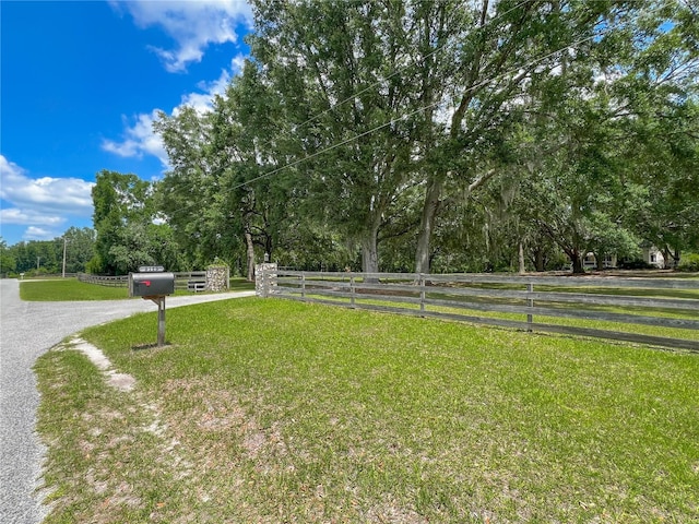 view of yard featuring driveway