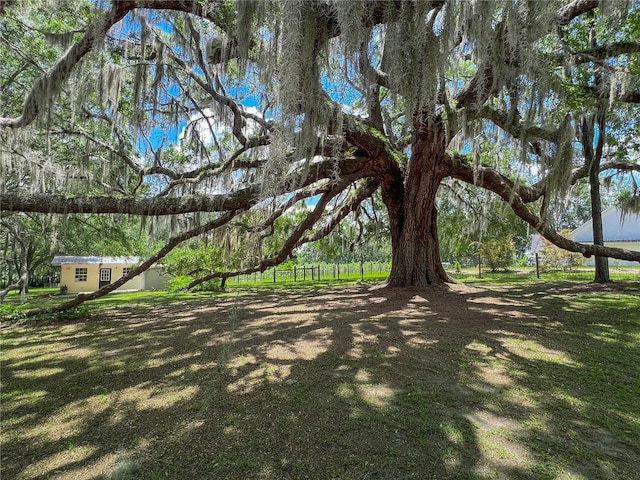 view of green lawn