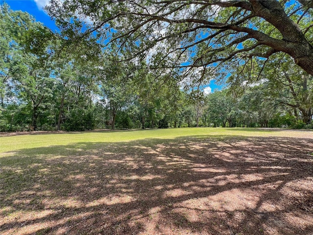 view of green lawn featuring view of wooded area